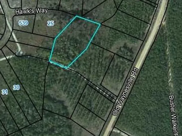 24 Hawks Way, Waynesville, GA 31566