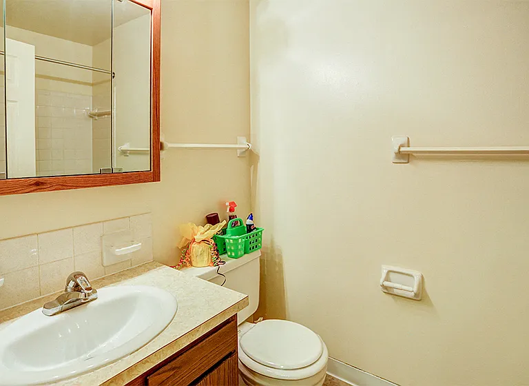 Townhome Bathroom at Williamsburg on the Lake