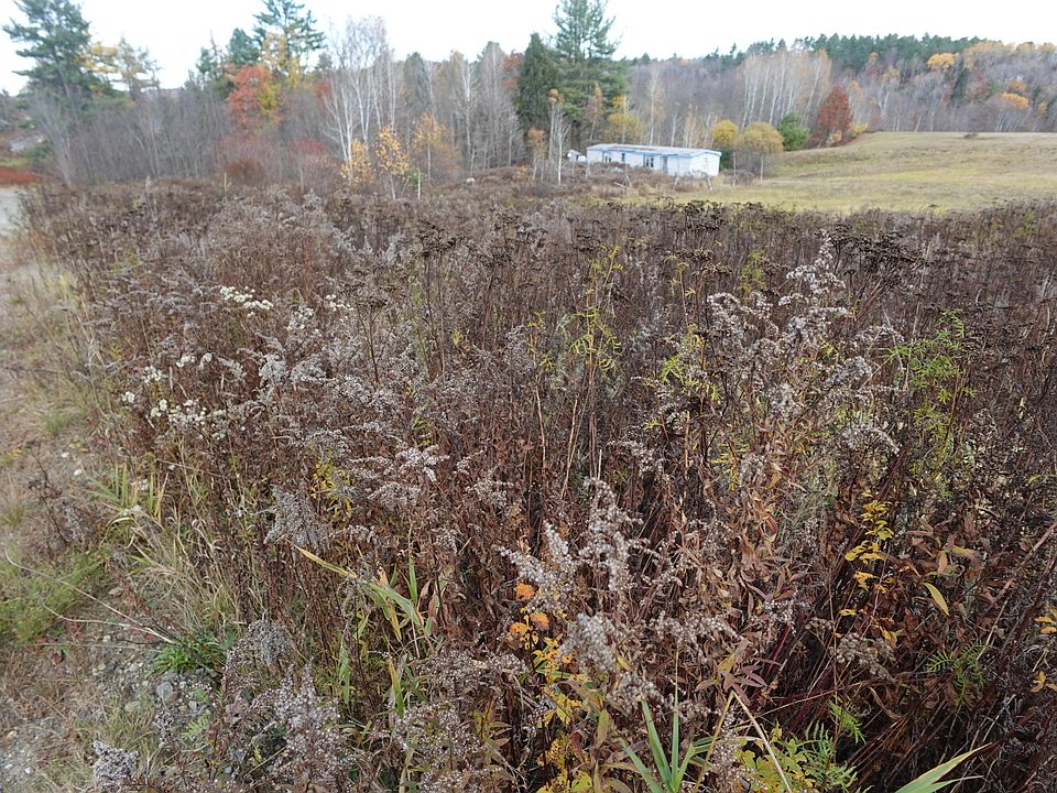 2nd image of 151 Dunham Road