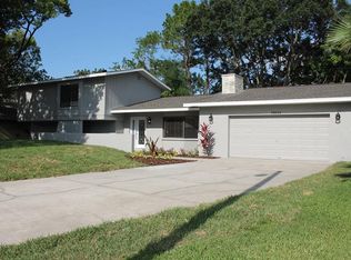 13003 Whisper Bay Pl, Tampa, FL 33618