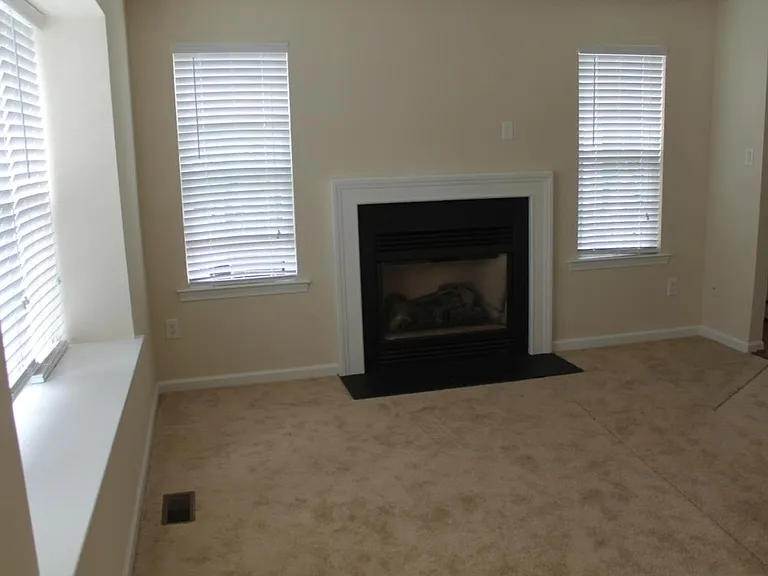 Family Rm with fireplace