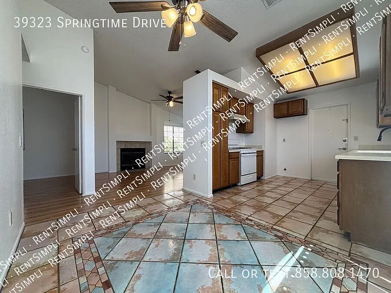 39323 Springtime Dr — Photo 7
