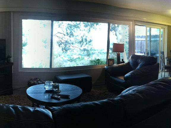 Living room with a view