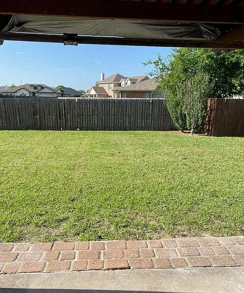 Backyard - porch view