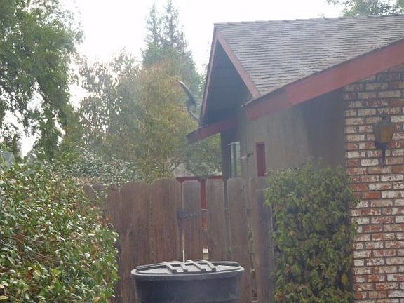 2nd image of 1316 S Cotta St