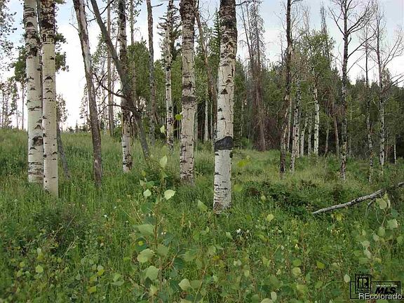 2nd image of TBD Whiffle Tree