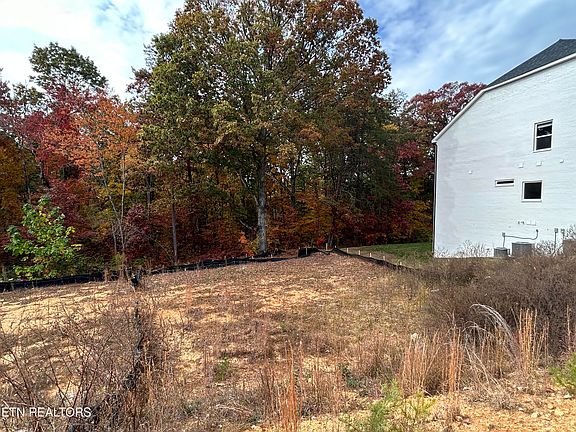 5th image of 11909 Cordial Ln