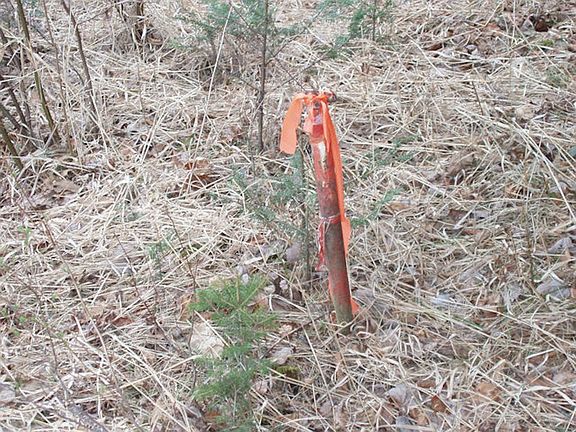 3rd image of On Forest Rd 169