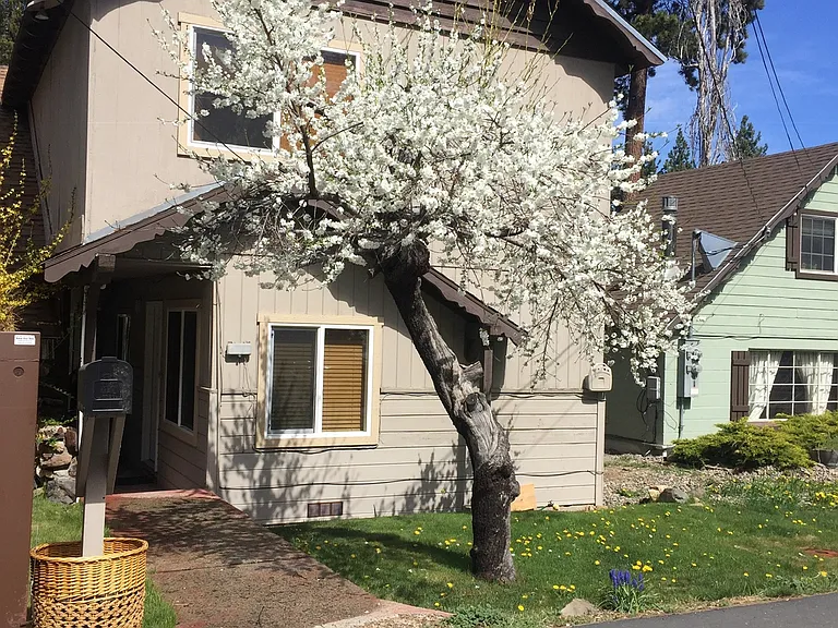 4005 Cedar Ave #4 — Photo 16