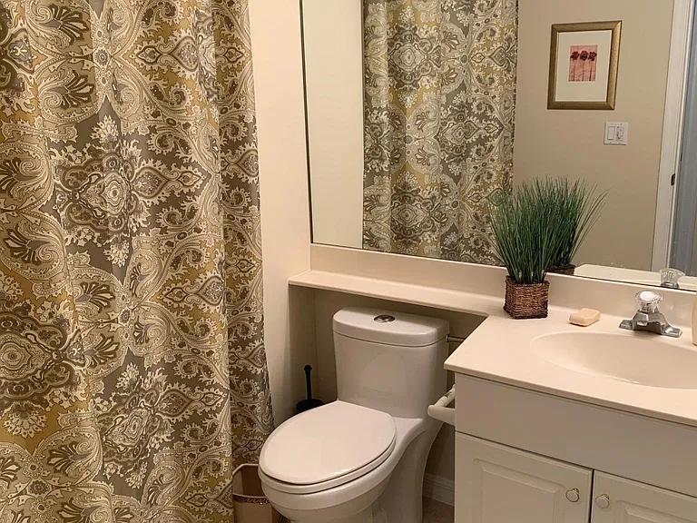 Master bathroom & shower