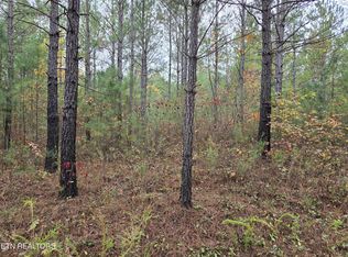 8 Everett Ln, Robbins, TN 37852