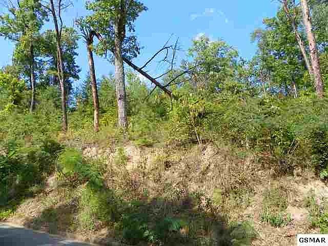 1st image of 24 Bluff Ridge Rd Lot 24