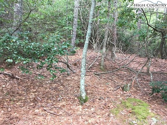 3rd image of TBD Eagle Drive