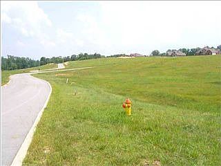 3rd image of 1358 Dreamfield Dr