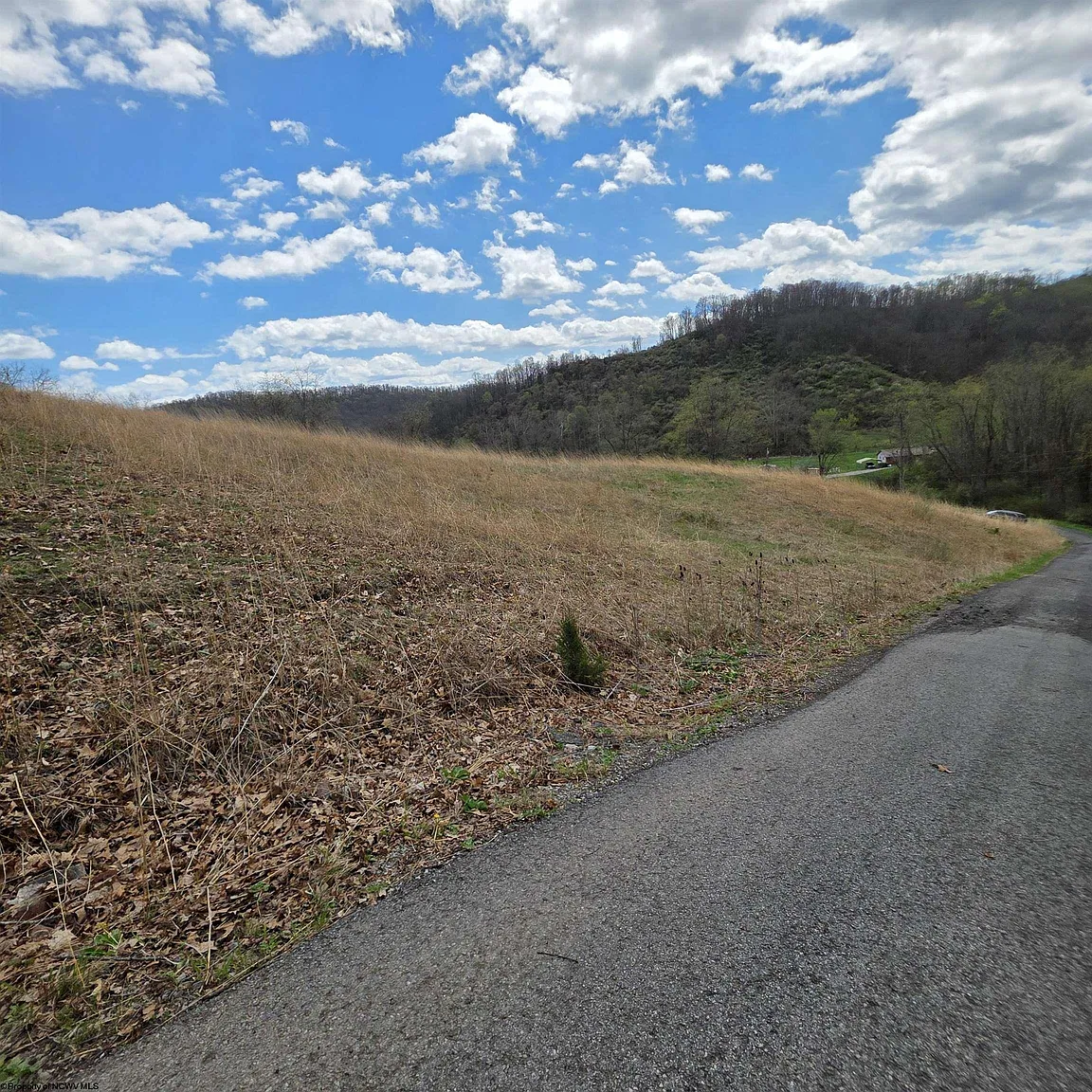 Simpson Run Rd photo 1