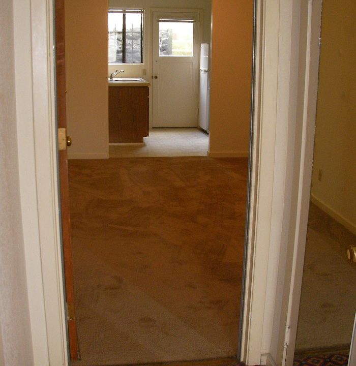 1st image of 248 Corbett Ave APT 1