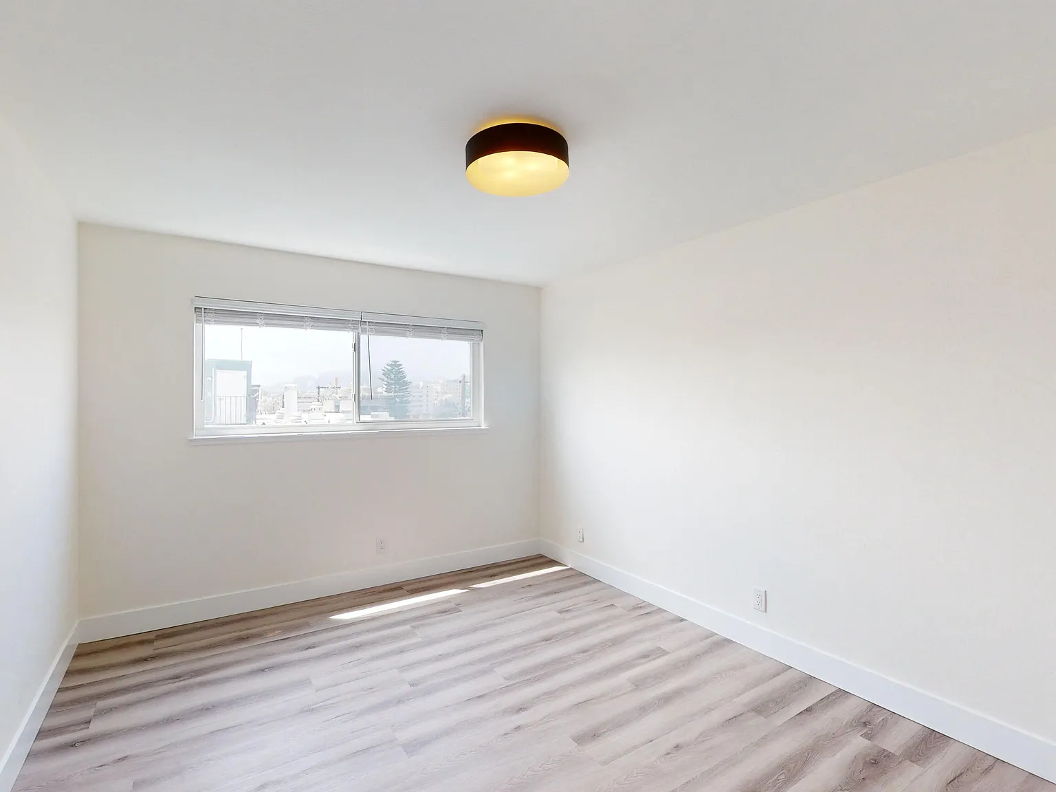 2028 Scott Street — Photo 4