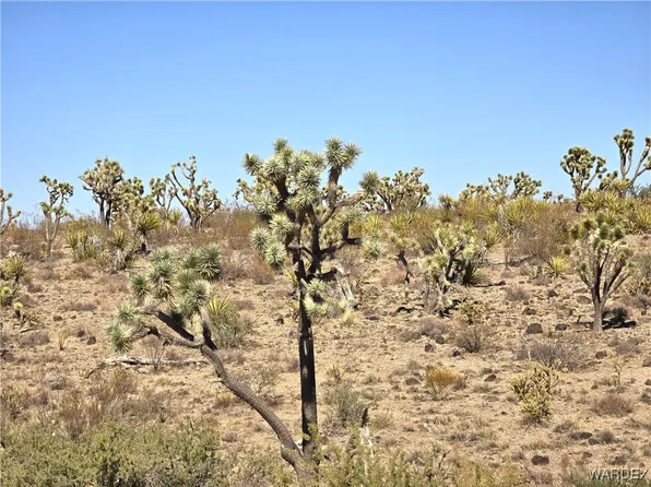 0 N Mohave Dr, Dolan Springs, AZ 86441