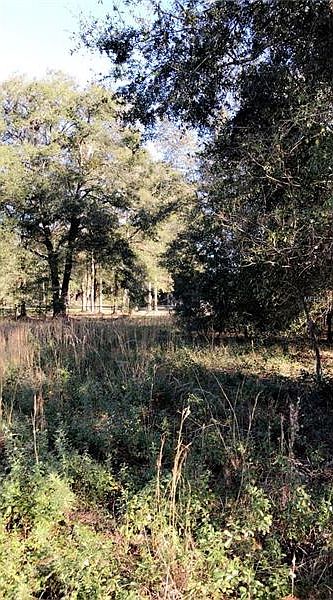 2nd image of 0 SE 157th Lane Rd