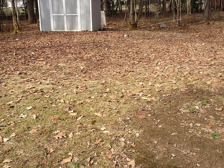 39 Tall Pines Dr — Photo 22