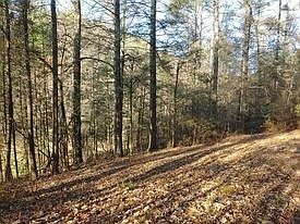 5th image of 0 Stonegate Way Lot 3