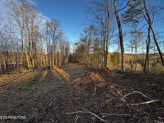 4th image of River Rd