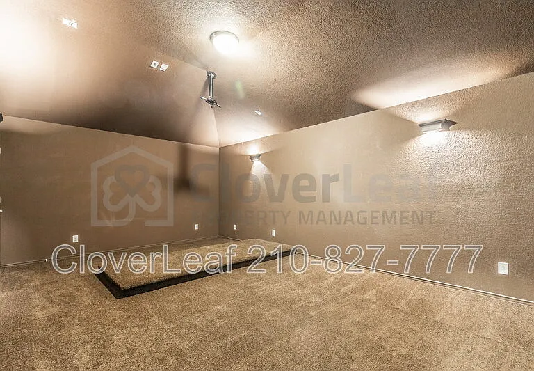 3734 Ox Eye Daisy — Photo 28