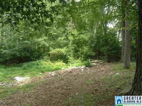 2880 Woodruff Mill Rd, Adamsville, AL 35005