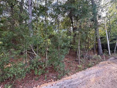 1212 Hudson Rd, Summerton, SC, 29148