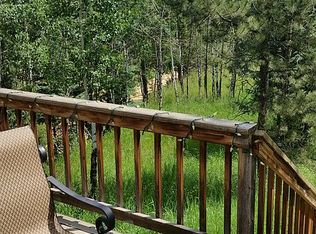 33452 Dotty Rd, Pine, CO 80470