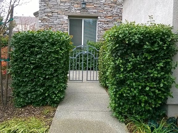 5th image of 1395 Standish Cir