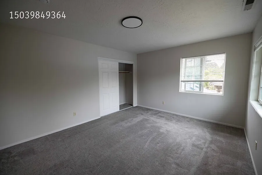 SwanNest 401 — Photo 2