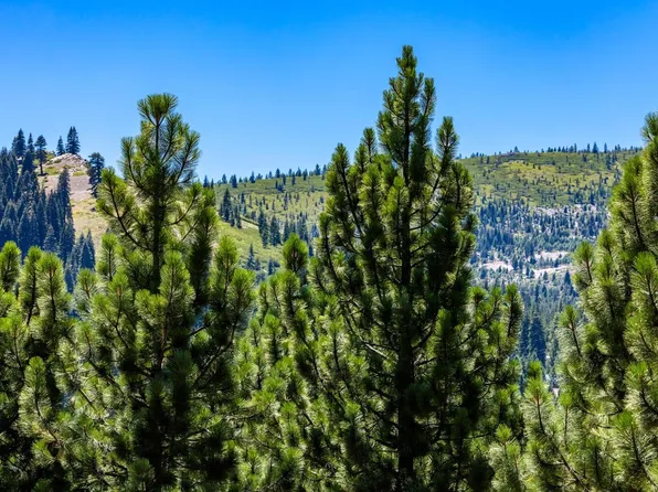 12379 Stockholm Way, Truckee, CA 96161