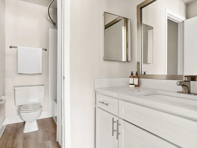 C235370 EnclaveAtBearCreek_VS Stills_1B1B Bathroom