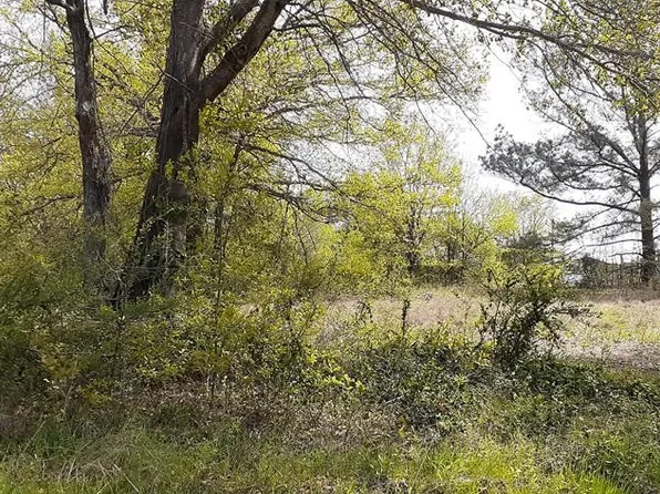 342 Flagship Ln, Mabank, TX 75156