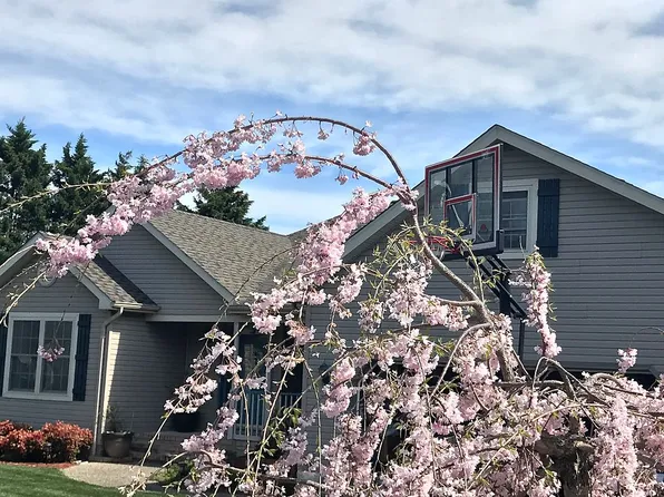 1 Margate Ct, Lewes, DE 19958