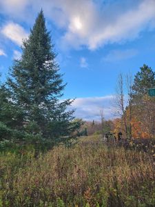 Hazel Green Rd, Deerbrook, WI, 54424