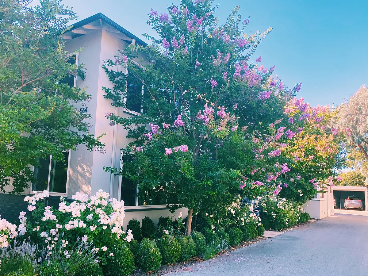 View from street - 564 University Dr #3