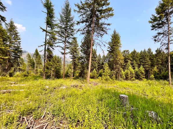 Vista Dr, Republic, WA 99166