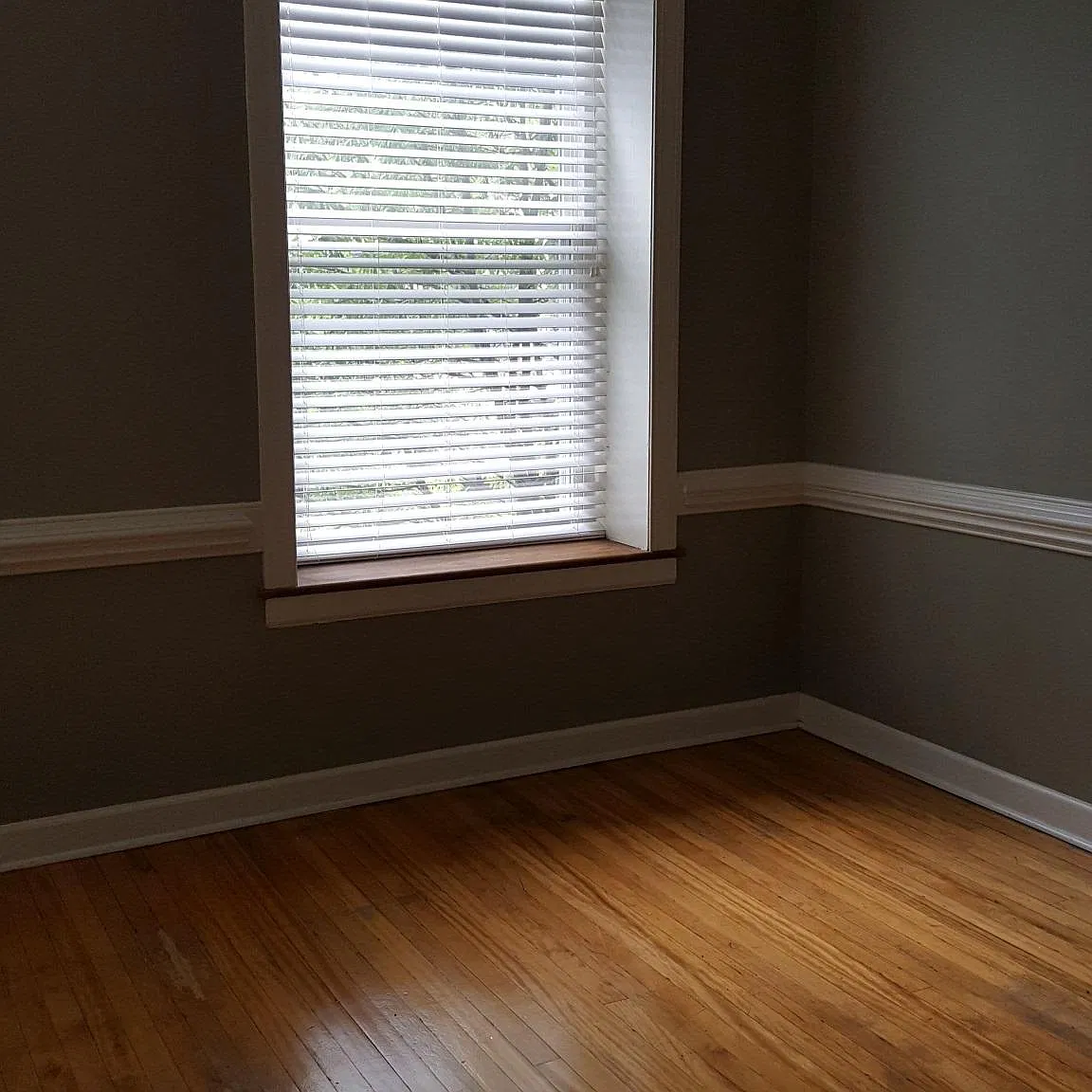 320 S Elm St — Photo 4