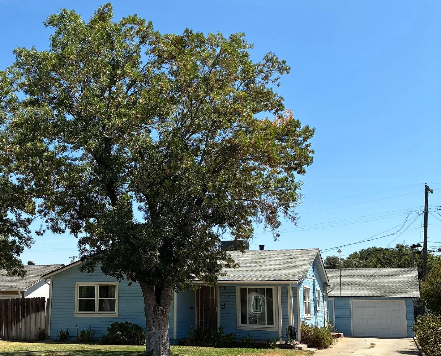 2 bed, 1.0 bath, 1148 sqft, $1,450 — Photo 2