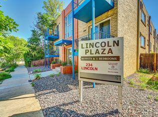 234 N Lincoln St APT 1, Denver, CO 80203