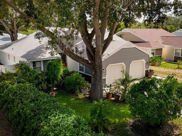 3174 Phlox Dr, Palm Harbor, FL 34684