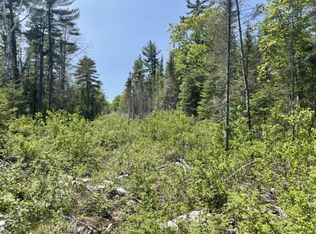 S Meade Island Rd, Drummond island, MI 49726