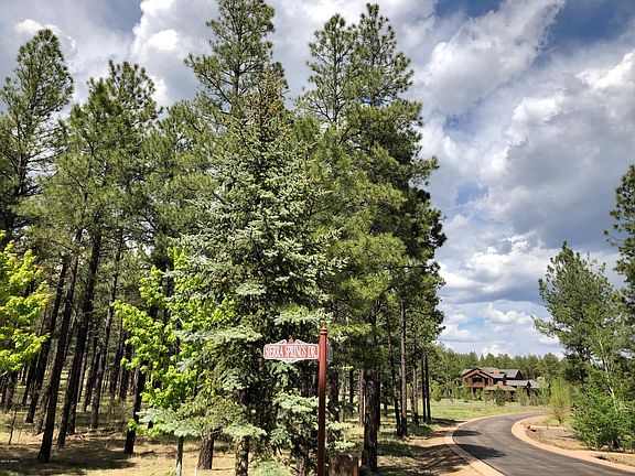 5th image of 9598 Sierra Springs Dr