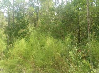 0 Kirchherr Ave, Hastings, FL 32145