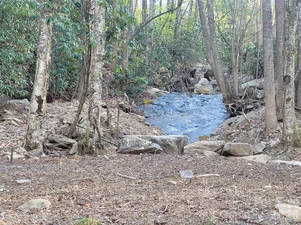 9999 Lytle Cove Rd, Swannanoa, NC 28778