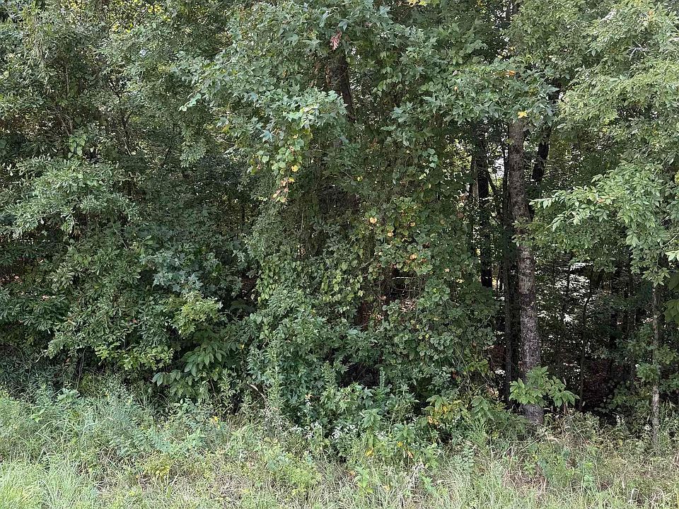 1st image of 0 Highway 167