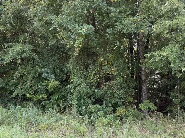 0 Highway 167, Hensley, AR 72065