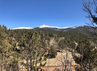 311 Beaver Pond Rd, Divide, CO 80814